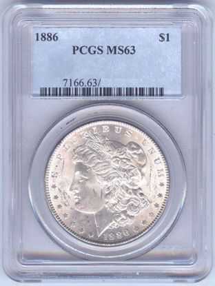 Picture of Morgan Dollars PCGS/NGC MS63