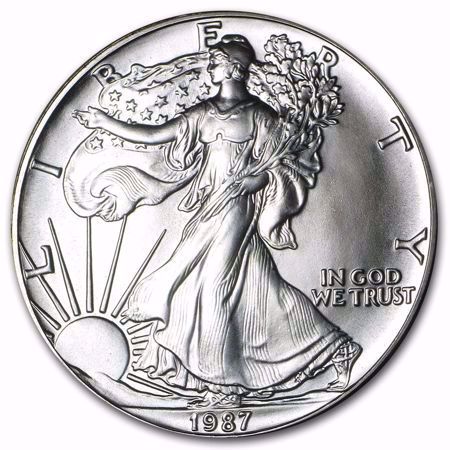 Picture for category Silver Eagles (1986 to Date)