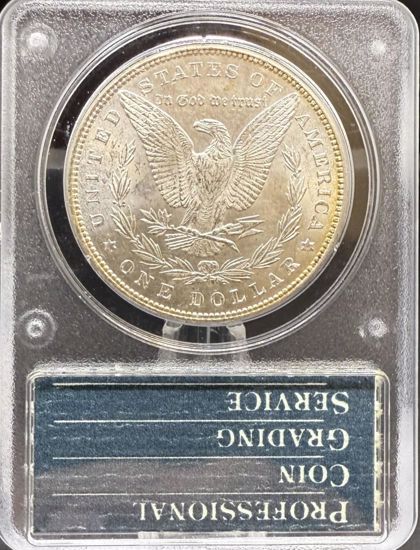 7033091_reverse