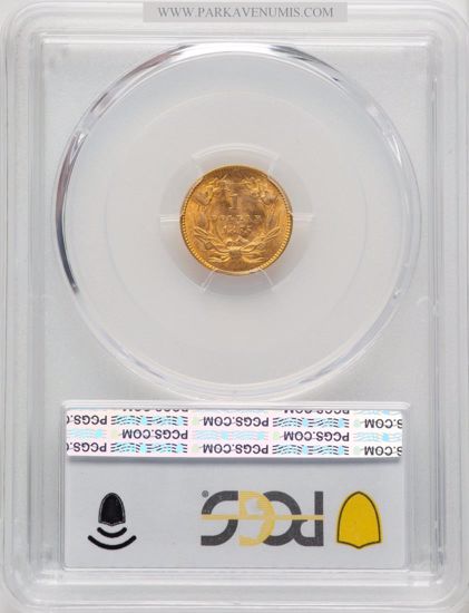 51606579_reverse