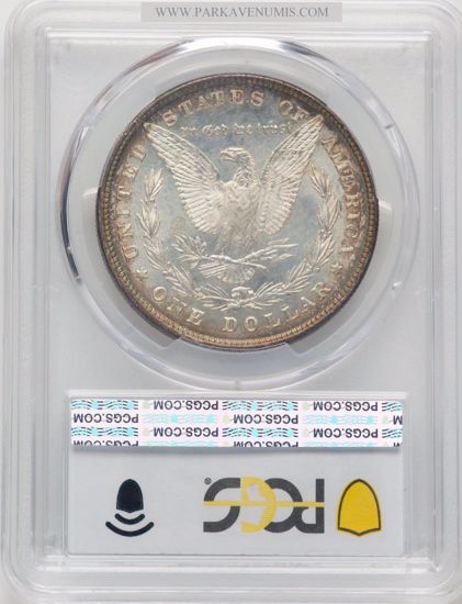 51659597_reverse