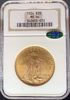 Picture of 1924 $20 St Gaudens MS64 NGC CAC